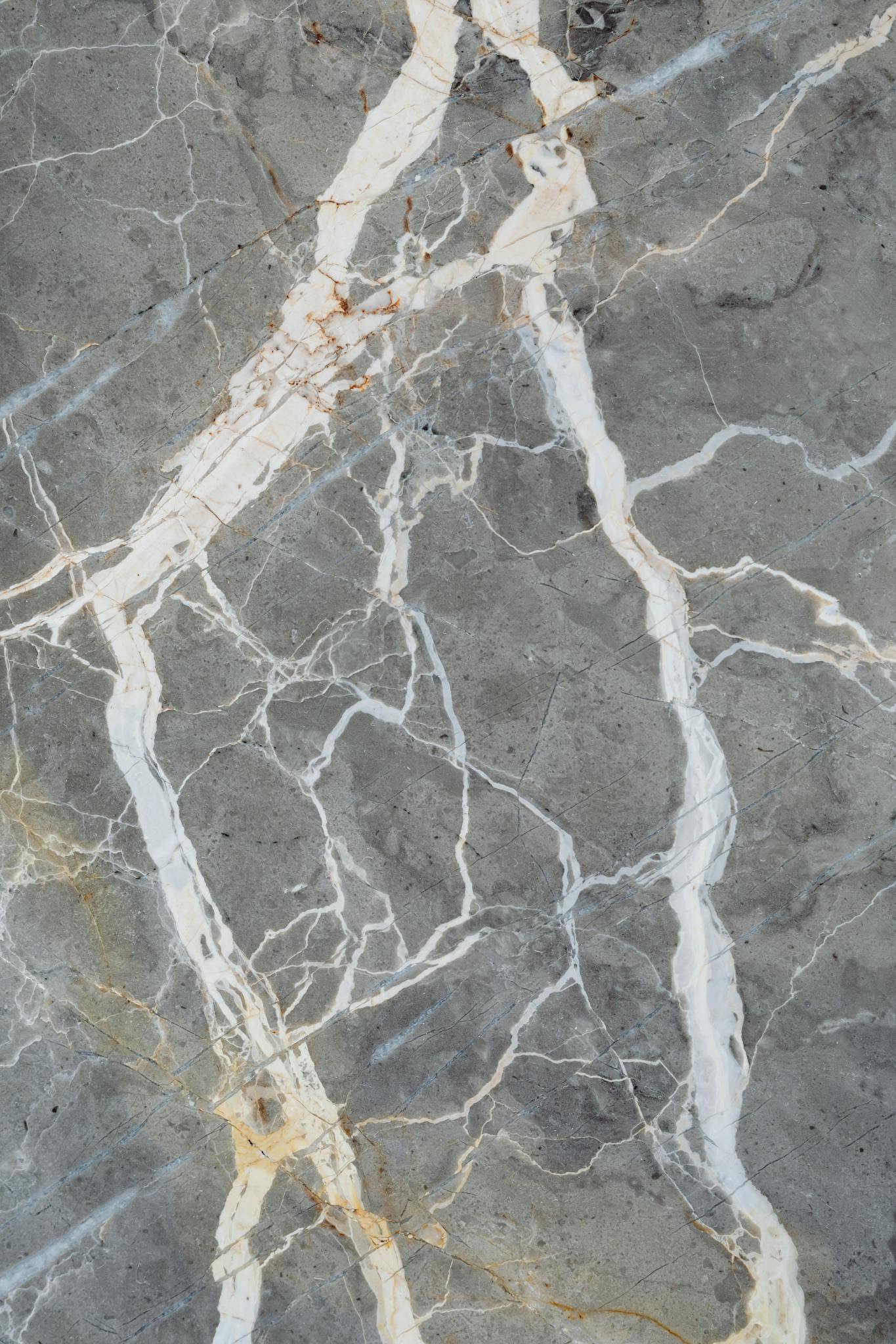 Detailed close-up of gray marble with intricate white veins and patterns.